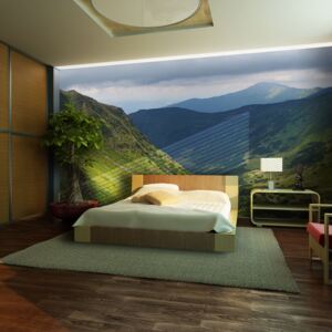 Fototapet Bimago - Green mountain landscape + Adeziv gratuit 200x154 cm