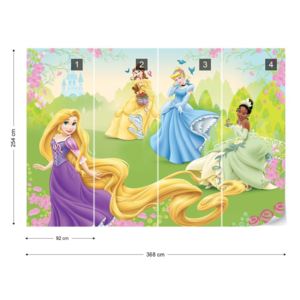 Fototapet - Disney Princesses Vliesová tapeta - 368x254 cm