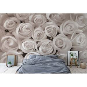 Fototapet - Sepia Roses Vliesová tapeta - 416x254 cm