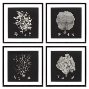 Tablouri Prints Black & Tan Corals set of 4 Eichholtz