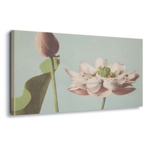 Tablou - Lotus Blossom, Ogawa Kazumasa. 100x75 cm