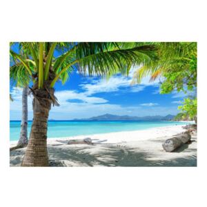 Tablou cu palmier și plaja (K012665K9060)