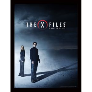 The X-Files - I Want to Believe Afiș înrămat
