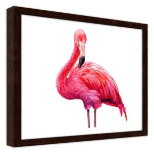 CARO Imagine în cadru - A Realistic Illustration Of A Pink Flamingo 40x30 cm Maro