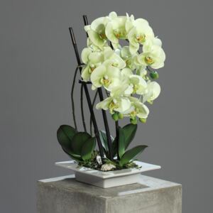 Orhidee artificiala verde-crem in ghiveci ceramic - 46 cm
