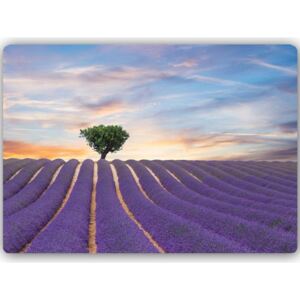 CARO Tablou metalic - Lavender Field 40x30 cm