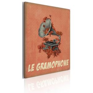 Bimago Tablou - Le gramophone 50x70