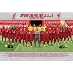 Liverpool FC - Team Photo 18-19 Poster, (91,5 x 61 cm)