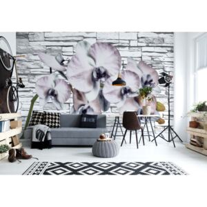 Fototapet - Flowers Orchids Stone Wall Texture Vliesová tapeta - 312x219 cm