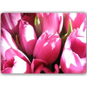 CARO Tablou metalic - Pink Tulips 2 40x30 cm