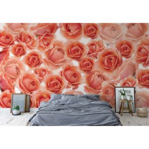 Fototapet - Pink Roses Flowers Vliesová tapeta - 206x275 cm