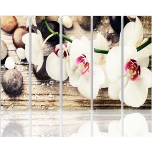 CARO Tablou pe pânză - White Orchid And Stones 100x70 cm