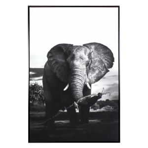 Tablou Elephant 80x120 cm