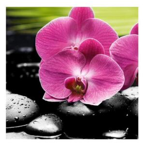 Tablou cu floarea de orhidee (Modern tablou, K011866K3030)