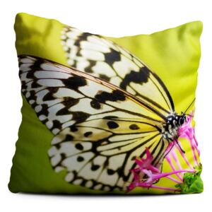 Pernă Oyo home Butterfly, 40 x 40 cm, verde