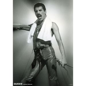 Queen (Freddie Mercury) - Live On Stage Poster, (59,4 x 84 cm)