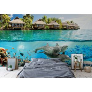 Fototapet - Tropical Lagoon Dolphins Underwater Vliesová tapeta - 254x184 cm
