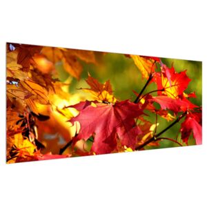 Tablou cu frunze de toamnă (Modern tablou, K010117K12050)