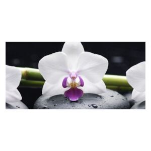 Decor perete bucatarie, protectie aragaz, print uv, model Orhideea Molie