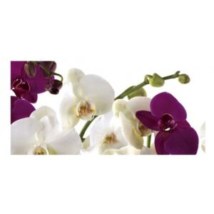 Panou bucatarie, protectie plita, aragaz, antistropire, print UV model Orhidee