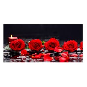 Panou bucatarie, protectie plita, aragaz, antistropire, print UV model Trandafiri Rosii 2