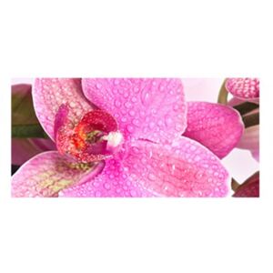 Panou bucatarie, protectie plita, aragaz, antistropire, print UV model Orhidee de Philippine