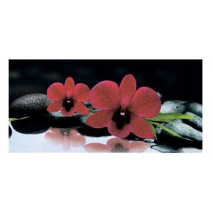 Panou bucatarie, protectie plita, aragaz, antistropire, print UV model Orhidee de Culoare Rosie
