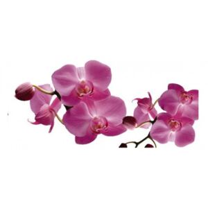 Panou bucatarie, protectie plita, aragaz, antistropire, print UV model Orhidee de Filipine Mov
