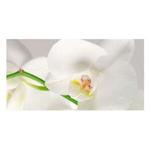 Panou bucatarie decorativ, protectie plita, Orhidee Alba 1