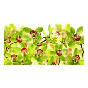 Panou bucatarie, protectie plita, aragaz, antistropire, print UV model Orhidee cu Petale Verzi