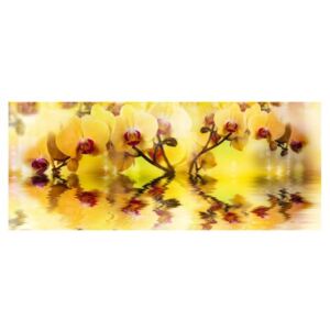 Panou bucatarie, protectie plita, aragaz, antistropire, print UV model Orhidee Galbena 2