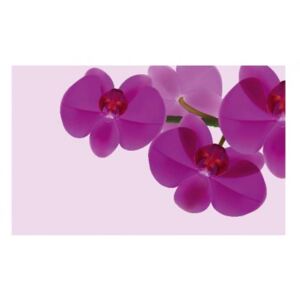 Panou bucatarie, protectie plita, aragaz, antistropire, print UV model 3 Orhidee Violet
