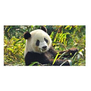 Panou protectie plita, aragaz, print UV, Ursulet Panda