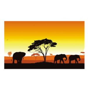 Panou bucatarie, protectie plita, aragaz, antistropire, print UV model Peisaj Elefanti