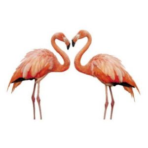 Panou bucatarie, protectie plita, aragaz, antistropire, print UV model Flamingo Pasari de Dragoste