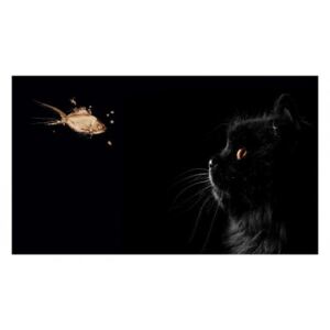 Panou decorativ bucatarie, sticla securizata, protectie plita, print UV model Pisica Neagra si Peste Auriu