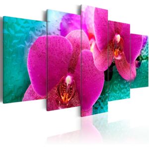 Tablou - Exotic orchids 200x100 cm
