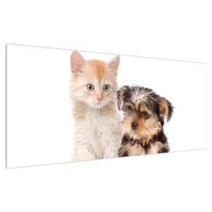 Tablou câine și pisica (Modern tablou, K012235K12050)