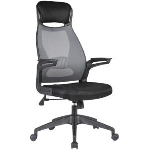 Scaun de birou Houston 247, Negru, Gri, 116x58x62cm, 13 kg