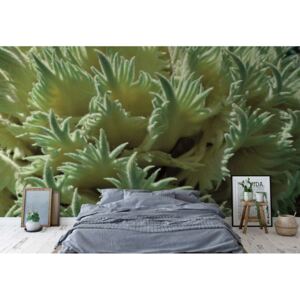 Fototapet - Green Organic Texture Vliesová tapeta - 416x254 cm