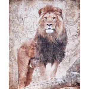 Falc Tablou pe pânză - Lion, 40x50 cm