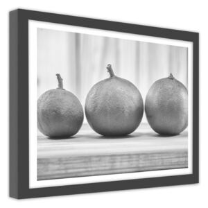CARO Imagine în cadru - Black And White Lemons 40x30 cm Negru