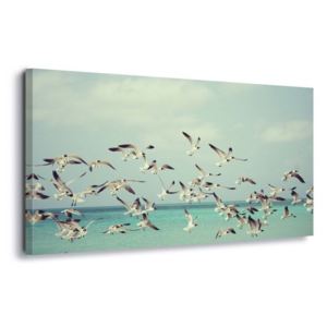 Tablou - Vintage Seagulls 60x40 cm