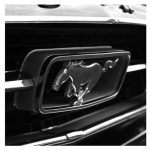 Tablou detailat cu mașina Mustang (Modern tablou, K010943K3030)