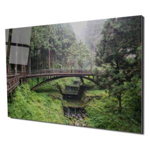 Tablou din sticla acrilica - forest wood bridge