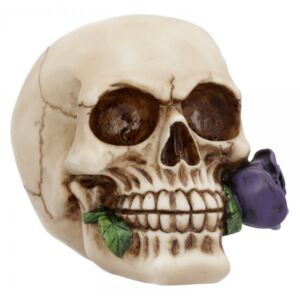 Statueta craniu cu trandafir Purple Rose from the Dead 15cm
