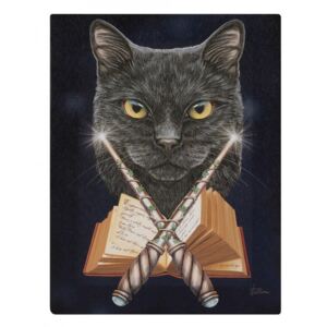 Tablou canvas, Magicianul, 19x25cm - Lisa Parker