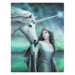 Tablou canvas zana si unicorn, Steaua Nordului 19x25cm - Anne Stokes