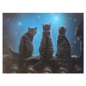 Tablou canvas pisici, Stele Zacatoare 19x25cm - Lisa Parker