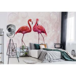 Fototapet - Modern Tropical Flamingos Vliesová tapeta - 368x254 cm